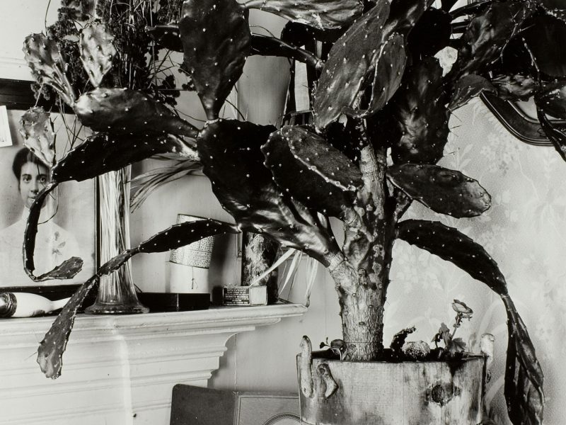 Walker Evans, The Cactus Plant, Interior Detail of Portuguese House, Truro Massachusetts, 1930