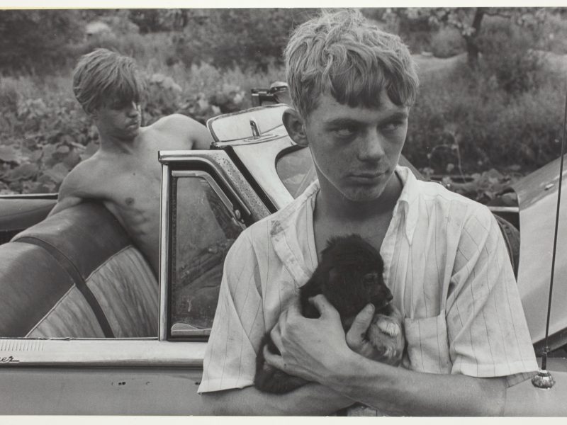 Danny Lyon, Boy with Dog, Knoxville, Tennessee, 1967
