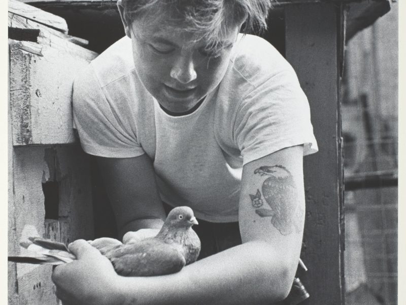 Bruce Davidson, Boy with Pigeon, 1959