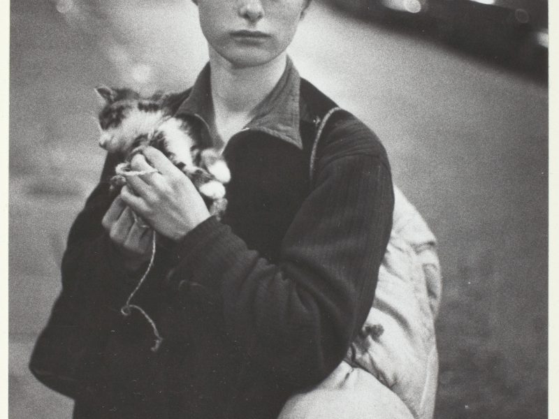 Bruce Davidson, Girl Holding Kitten, 1960